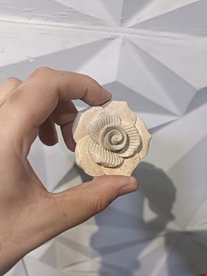 قالب سیلیکونی مدل گل رز 