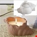 سیلیکونی وارداتی